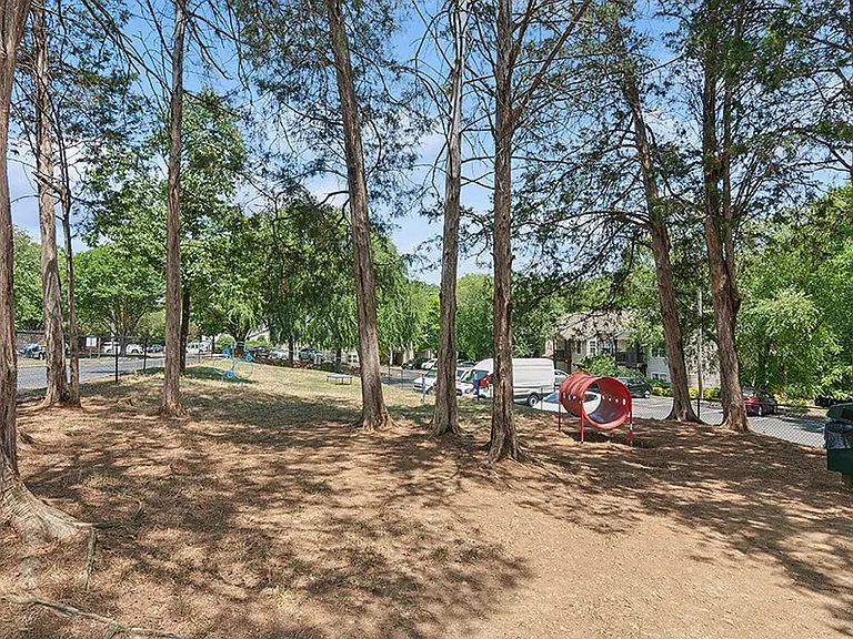 Park at Caterina — Photo 13