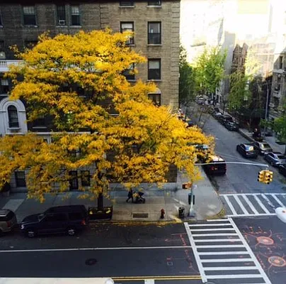 Sold by Deborah Fredericks Enterprises, Inc. | media 13