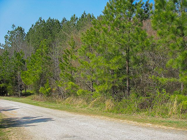 1st image of Abbott Way #14
