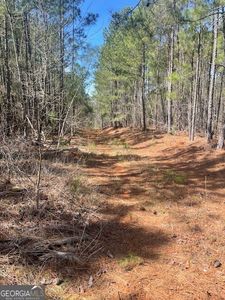 LOT 7 Shiloh Rd, Greensboro, GA, 30642