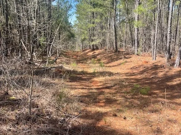 LOT 7 Shiloh Rd, Greensboro, GA 30642
