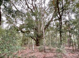 265 SE Pine Tree St, Branford, FL 32008