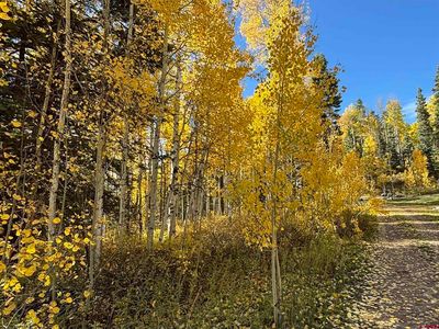 2315 Sierra Verde Drive, Durango, CO, 81301