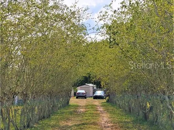 3894 Rambler Ave, Saint Cloud, FL 34772