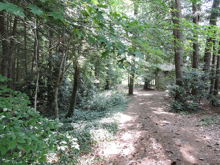 15 Humming Bear Ln #B — Photo 8