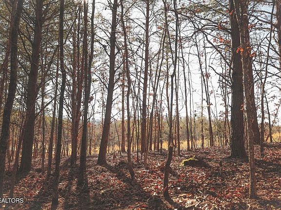 2nd image of LOT 10 Curtis Rd