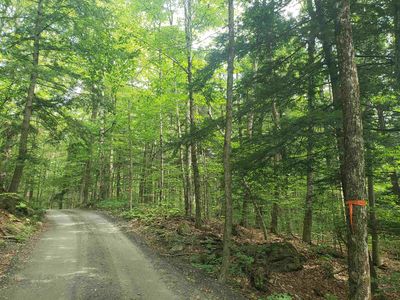 0 Stratton Hill Road, Marlboro, VT, 05344
