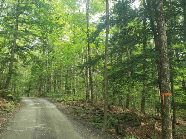 0 Stratton Hill Road, Marlboro, VT 05344