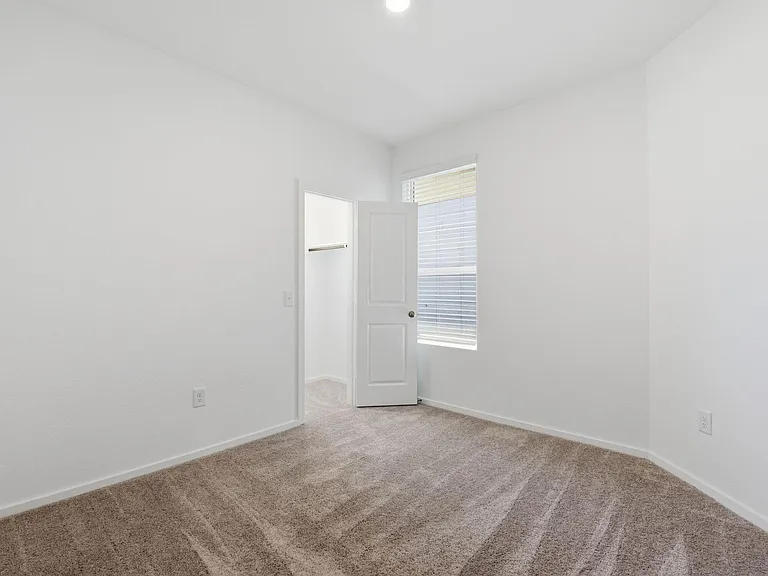 26391 Cedar Sedge Dr — Photo 30