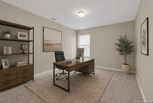 10311 Rosalina Loop — Photo 21