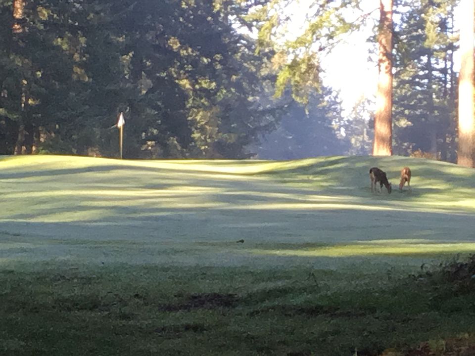 1st image of 10921 Pioneer Dr