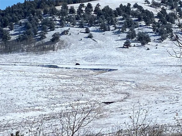 157 Crow Court, Como, CO 80432