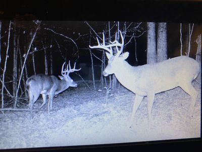 5273 Sinking Creek Rd, Linden, TN, 37096