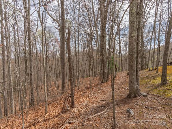 0 Michele Ln UNIT 4, Leicester, NC 28748