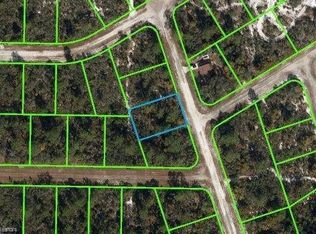 105 Eva Ave NW, Lake Placid, FL 33852