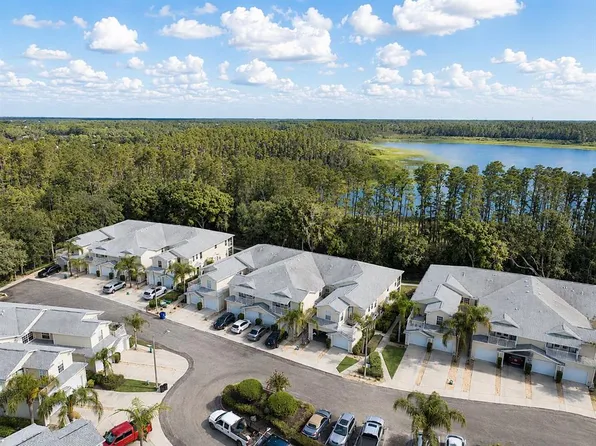 1651 HAMMOCKS AVENUE, LUTZ, FL 33549