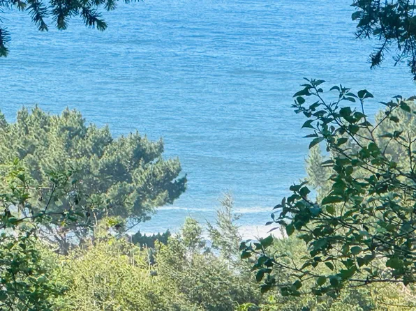 865 Upper Pacific Dr, Whitethorn, CA 95589