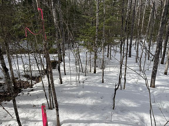 3rd image of Town Rd #211