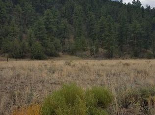 15 Iron Mountain Rd, Cotopaxi, CO 81223