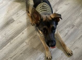 2325 Sunnyside Rd, Vermilion, OH 44089