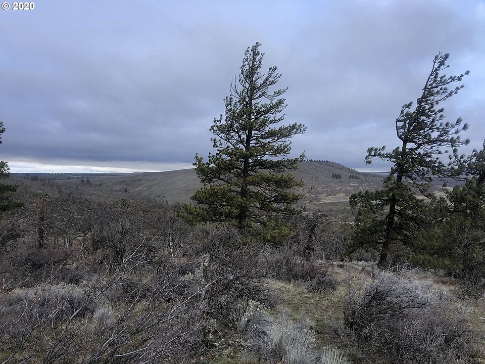 2nd image of Oak Flat Rd