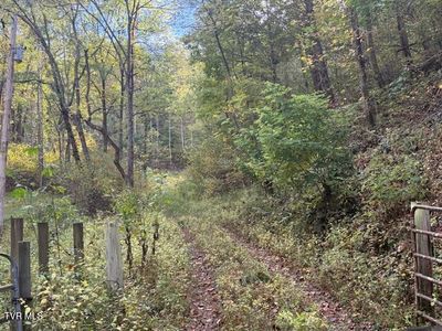 189 Tilson Mountain Rd, Flag Pond, TN, 37657
