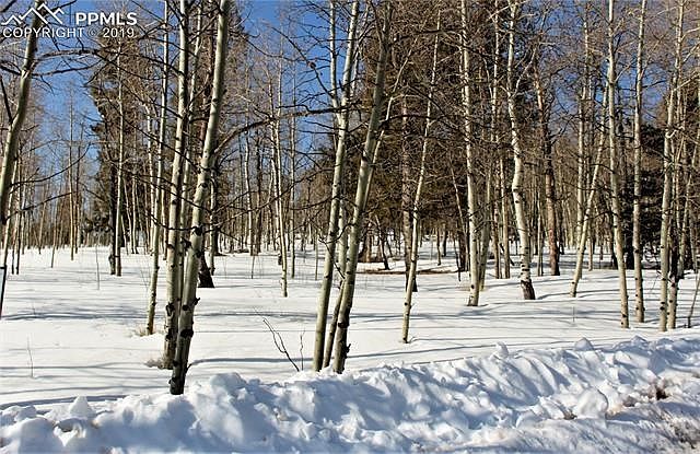 Fabulous aspen grove with pine mix covering this level lot.