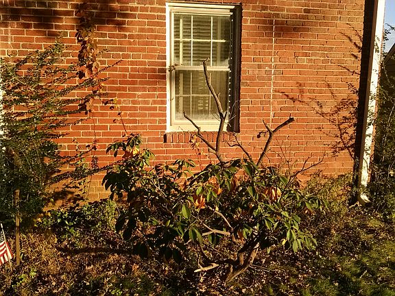 5th image of 2849 Meadow Ln
