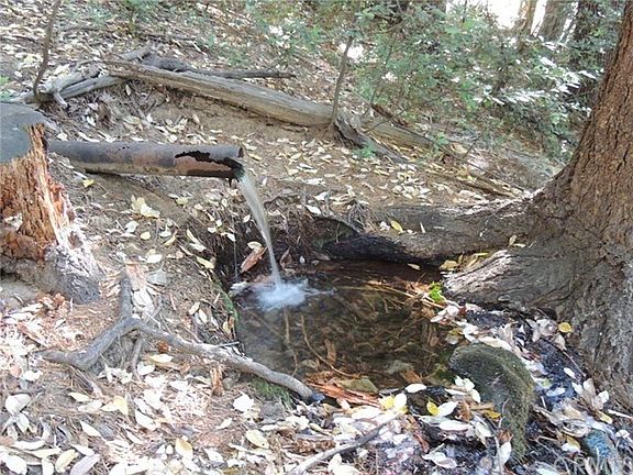 Piped spring has run year-round and produces estimated 10 GPM