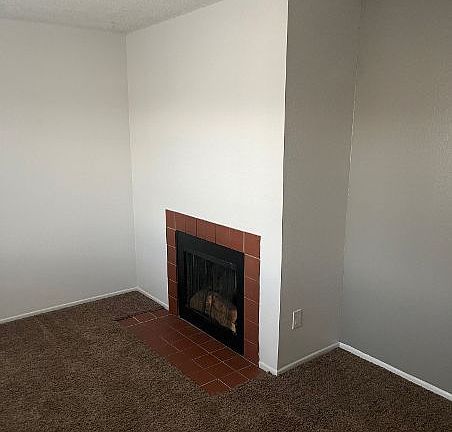 2032 Carlee-Unit #38-Fireplace_12172024