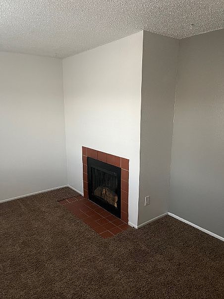 2032 Carlee-Unit #38-Fireplace_12172024