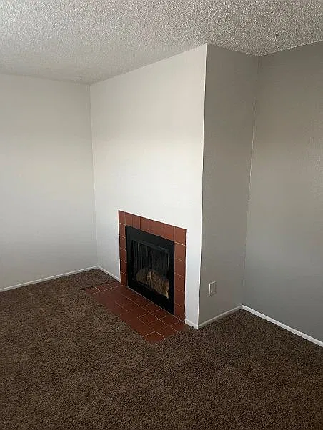 2032 Carlee-Unit #38-Fireplace_12172024