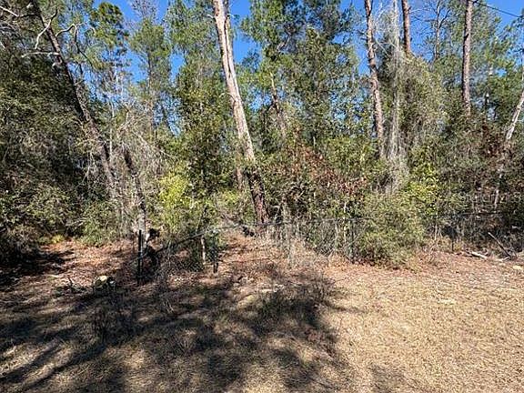 3rd image of Old Deer Rd