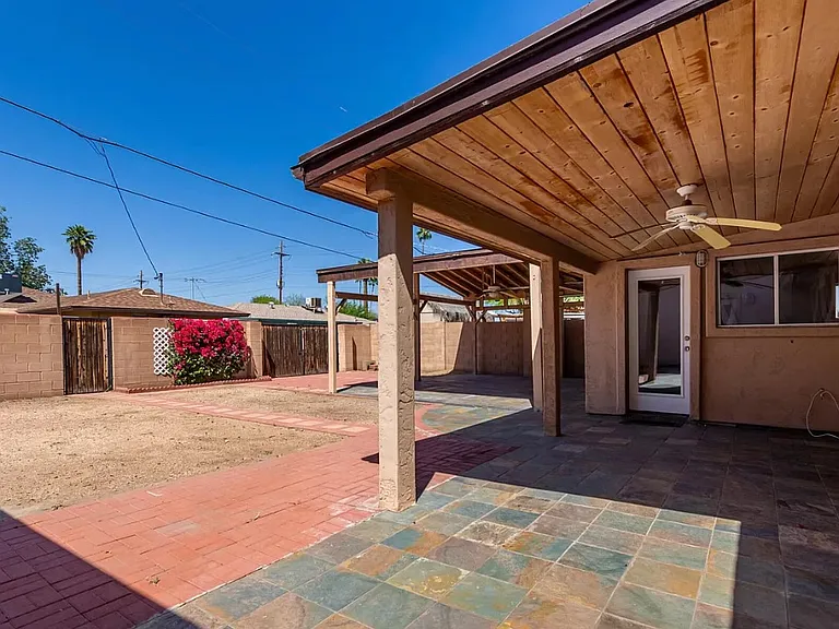 Backyard