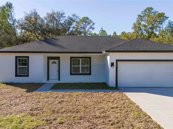 293 Fisher Way, Ocklawaha, FL 32179