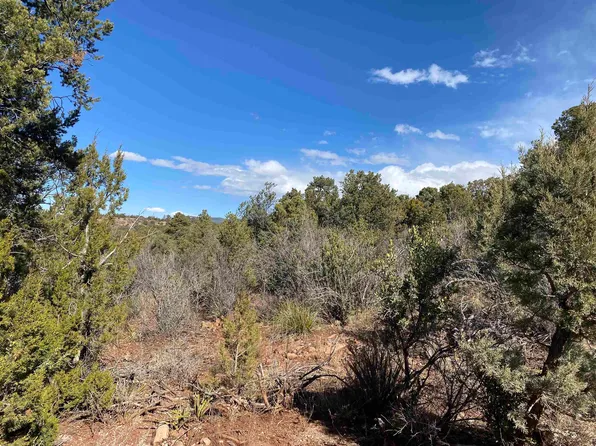 Old Firehouse Rd, High Rolls Mountain Park, NM 88325