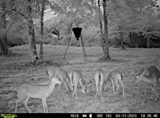 26541 Old Boggy Rd, Opp, AL 36467