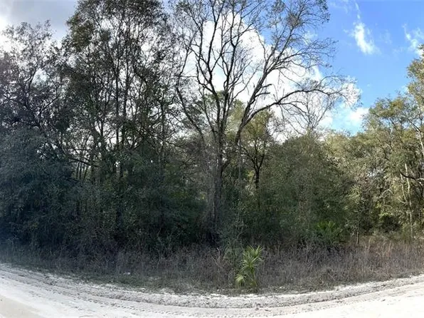 NE 110th Ave, Bronson, FL 32621