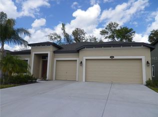 209 Dakota Hill Dr, Seffner, FL 33584