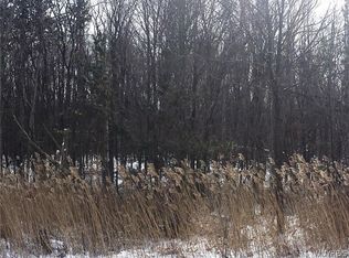 S Of 9891 Gowanda State Rd LOT 15, North Collins, NY 14111