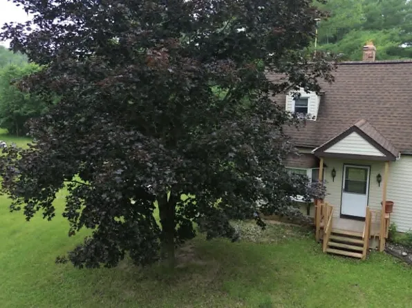 21632 90th Ave, Evart, MI 49631