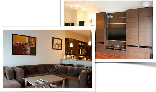 Custom Wall Unit & Sectional