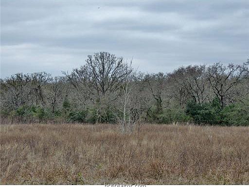 3rd image of 1150 Peach Creek Cut Off