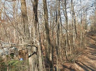 96 Arcadian Trl, Monroe, NY 10950