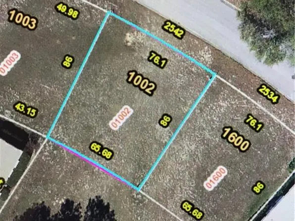 2542 Putter Rd #1002, Zellwood, FL 32798