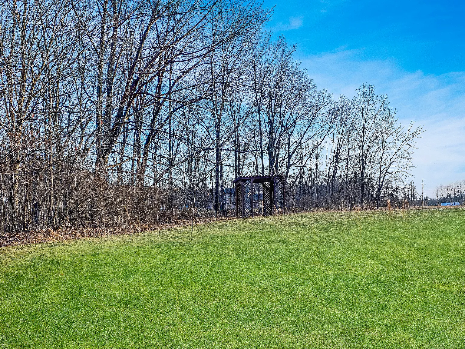 6333 W Corlett Ln photo 1