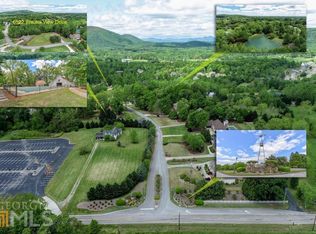 6522 Wauka View Dr, Clermont, GA 30527