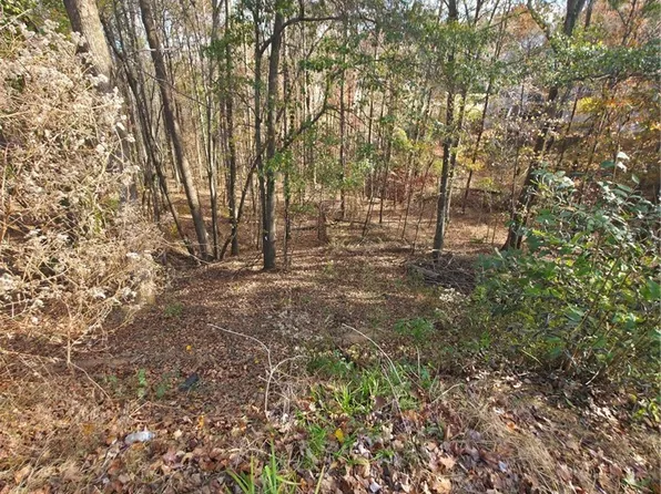 2412 Snowshoe Bend, Bethlehem, GA 30620