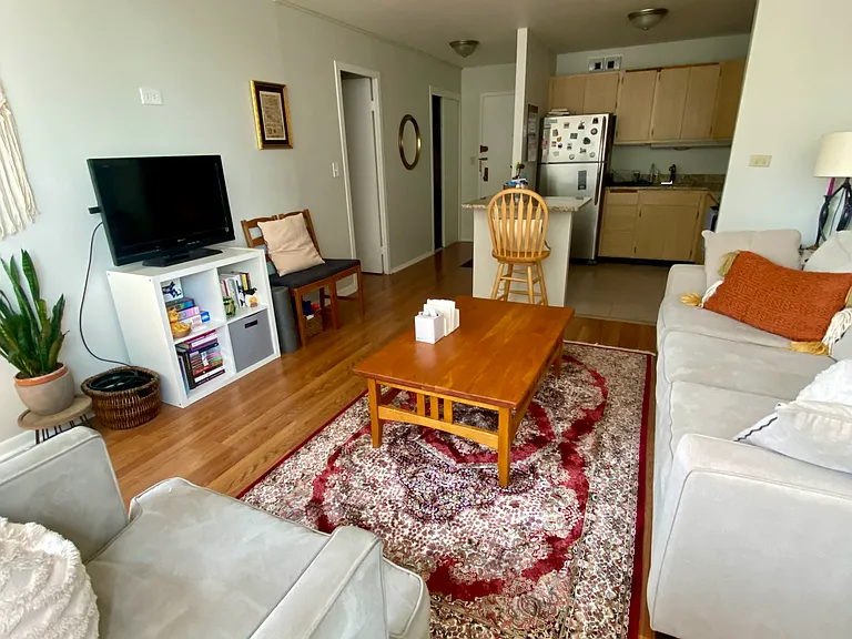 3550 N Lake Shore Dr #423 — Photo 4