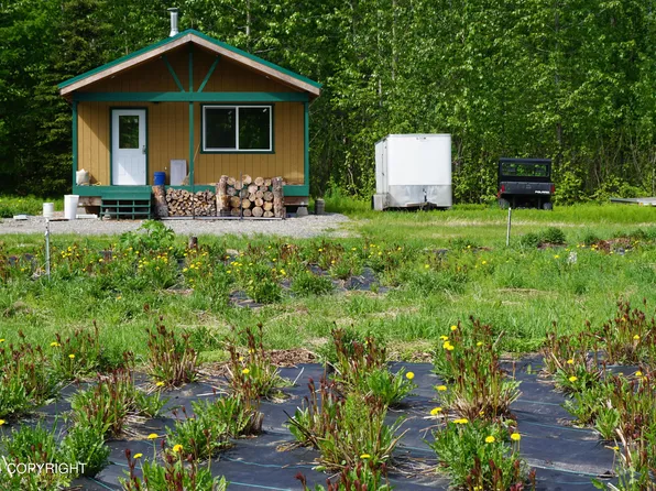 10825 Saunders Dr, Trapper Creek, AK 99683